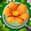 Blossom Triple: Find flowers