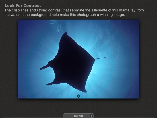 Screenshot #6 pour Silhouettes Underwater