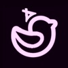 Nightbird: Rejoins la fête icon