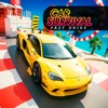 Car Survival Fast Drive 3d icon
