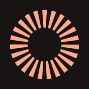 DebtWise: Crush Your Debt