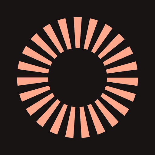 DebtWise: Crush Your Debt