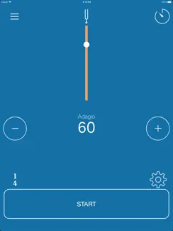 Smart Metronome & Tuner iPad image 2