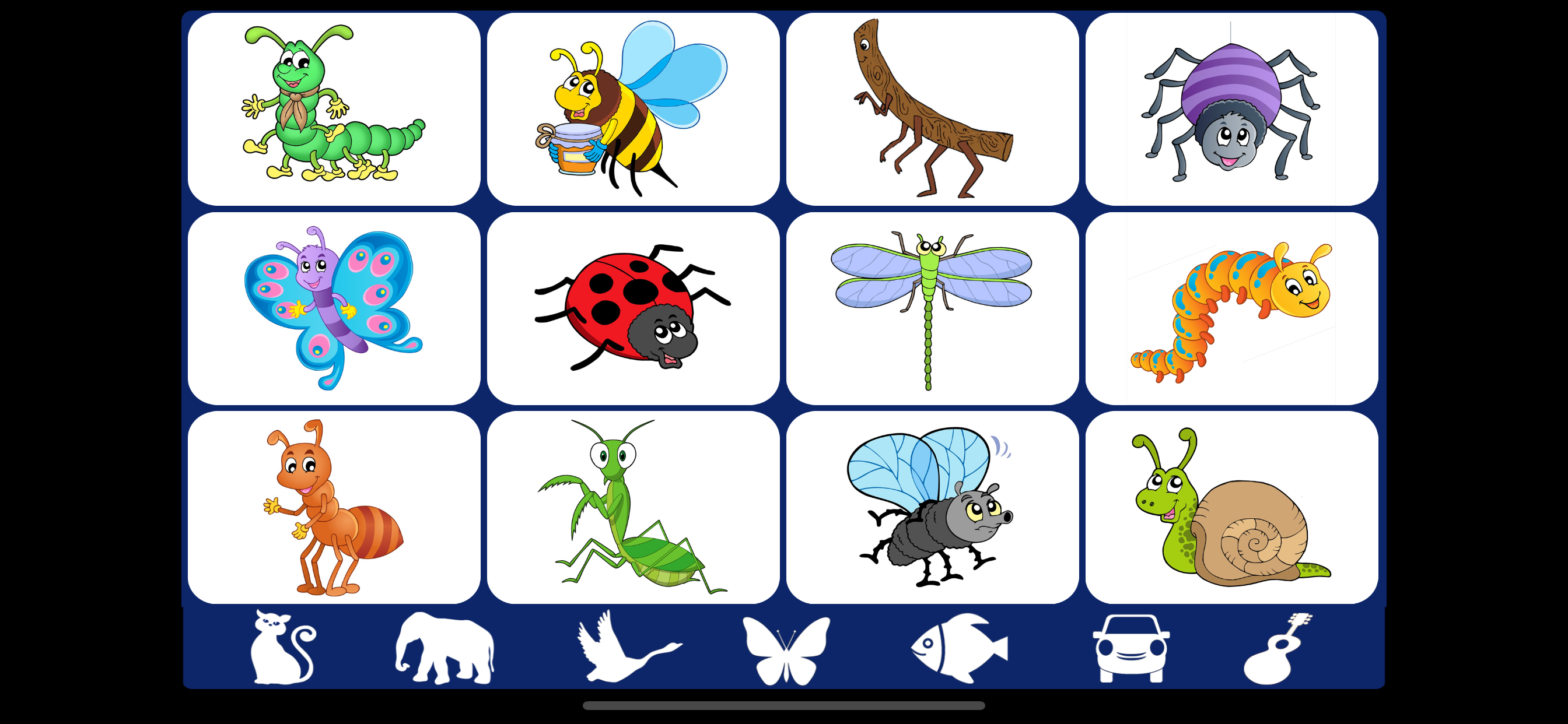 Video Touch: Insects & Friends