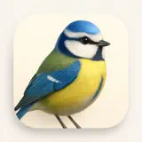 Birds of Europe - Field Guide - Ícone do app