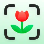 PlantAI - Plant Identifier App Support