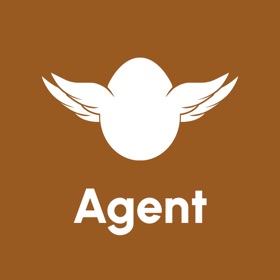 FlyGoog Agent