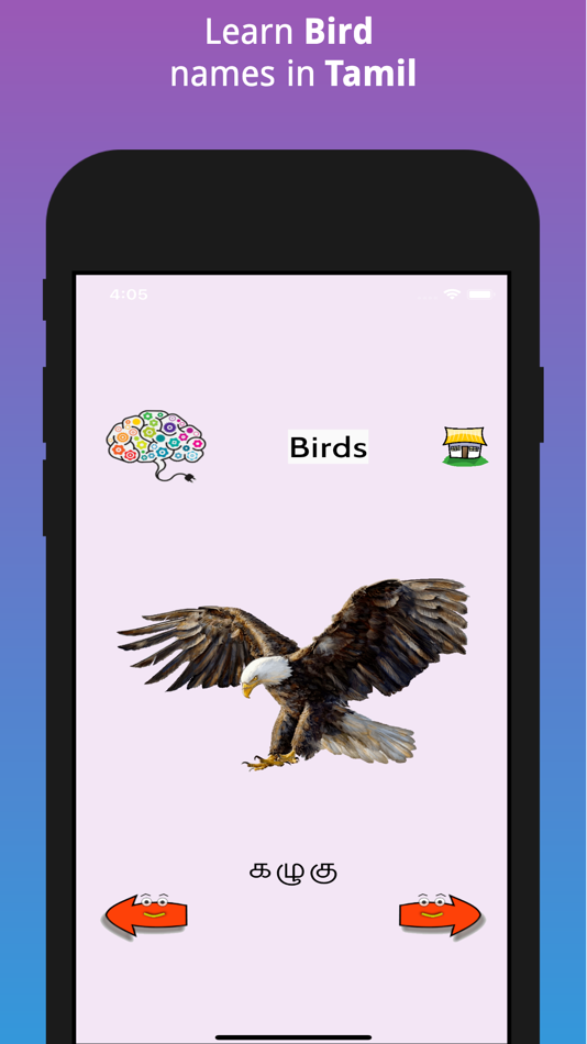#9. Learn Tamil FlashCards (iOS) Podle: Bala Murugan Chandran