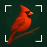 Get Bird Identifier: AI Scan for iOS, iPhone, iPad Aso Report