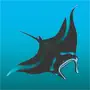 Manta Ray Tracker