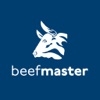 Beefmaster Grills icon