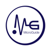 MicroGuide - Horizon Strategic Partners Ltd