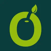 Olive MFB