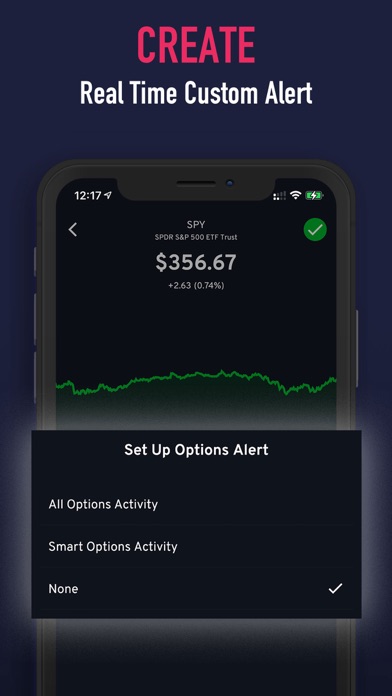 OptionsFlow Screenshot