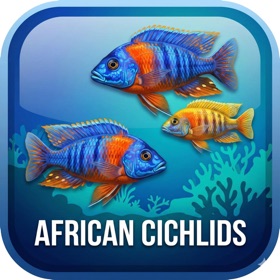 Cichlid Log Pro
