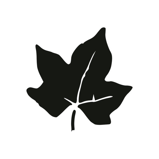 Ivy: Playlists with Friends