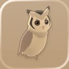 Shukofukurou app icon - Entertainment app for iPhone