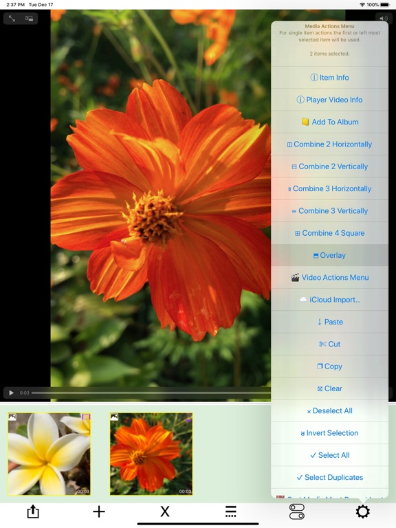 AddMovie iPad screenshot 5 - Photo & Video app