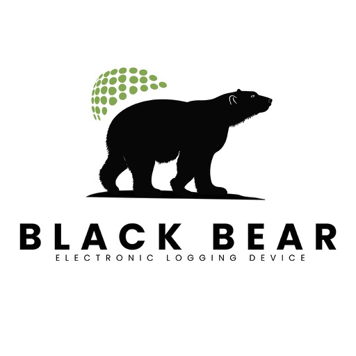 Black Bear LLC