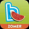 Zomerbingel icon