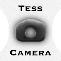 Tess - Point and Shoot