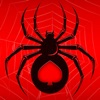 Solitaire Spider 2025 icon