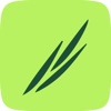 WealthBuddy icon