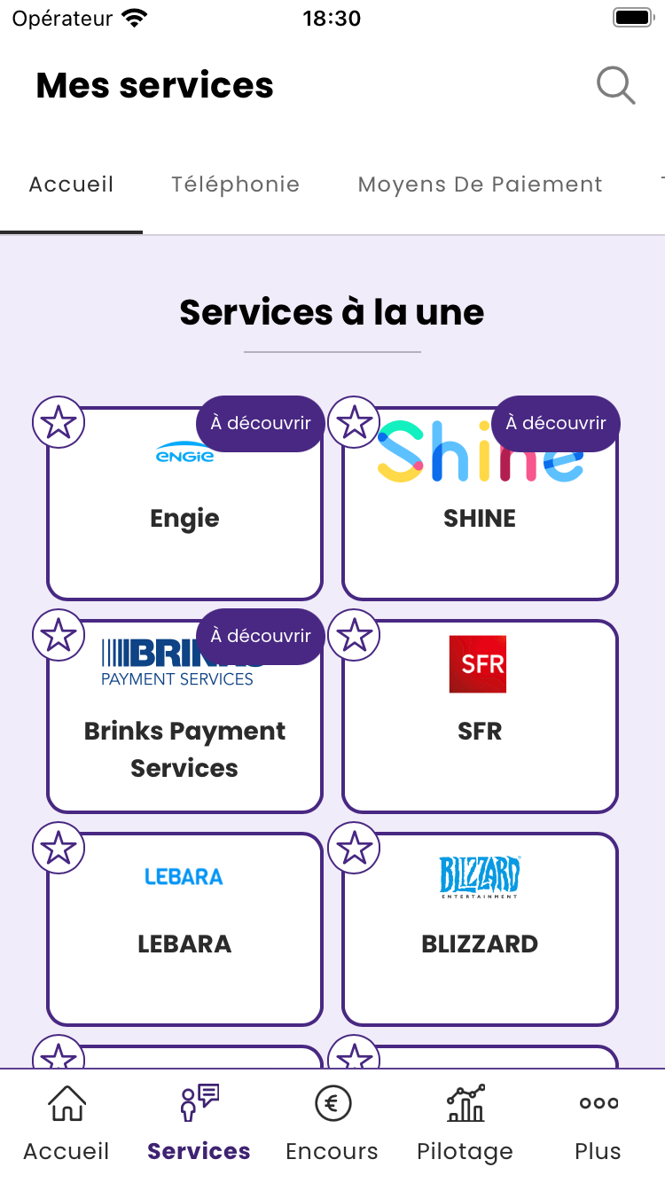 Bimedia