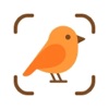 Bird Identifier: BirdScout icon