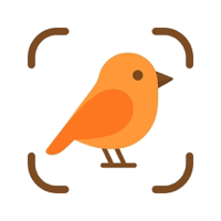 Bird Identifier BirdScout