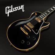 Gibson: Learn & Play Guitar