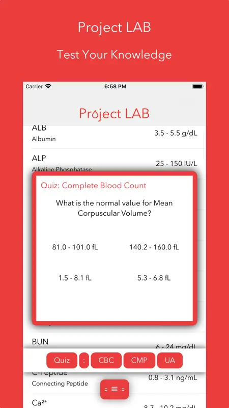Project LAB screenshot 6 of 6