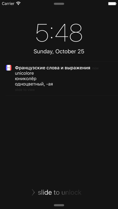 Screenshot #3 pour Французские слова и выражения