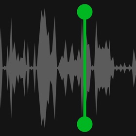Phone Call Recorder: Voice Rec