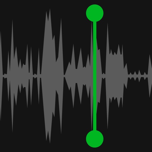 Phone Call Recorder: Voice Rec