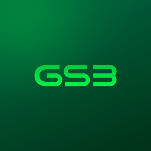 GS3