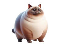 Fat Siamese Cat Stickers