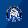 Canterbury-Bankstown Bulldogs icon