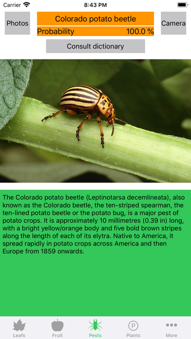 Plant diseases and pests Screenshot