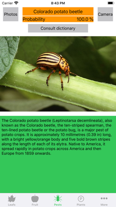 Plant diseases and pests screenshot 3