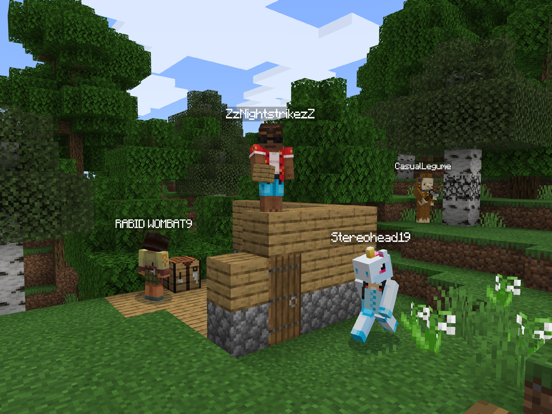 Minecraft 온라인으로 친구들과 함께 플레이하세요 App Store preview screenshot 14