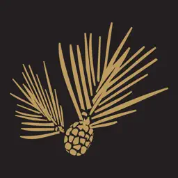 North State Bank Mobile app icon
