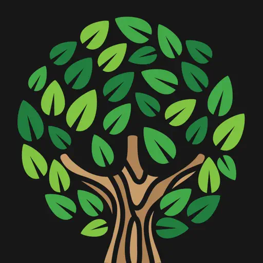 Spruce Up–AR 3D Models