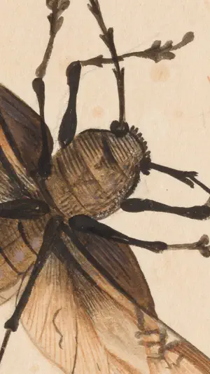 SC Museo Ciencias Naturales screenshot 4