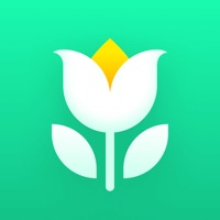 Plant Parent: Plant Care Guide