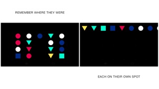 cLrS: Visual Memory screenshot 4
