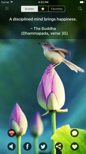 Buddha Quotes: Buddhist Wisdom screenshot 1
