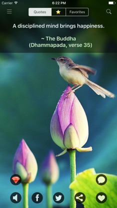 Buddha Quotes: Buddhist Wisdom screenshot 1
