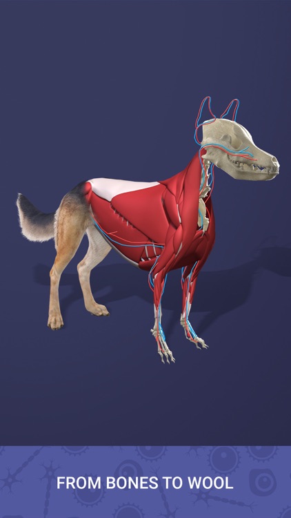 Idle Pet - Create cell by cell screenshot-4