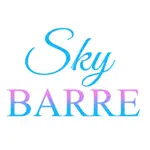 The Sky Barre Grant Park App Problems